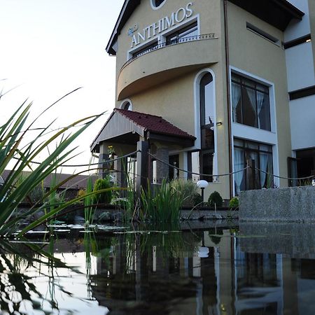 Hotel Anthimos Băile Felix Esterno foto